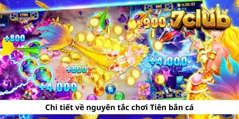 7CLUB