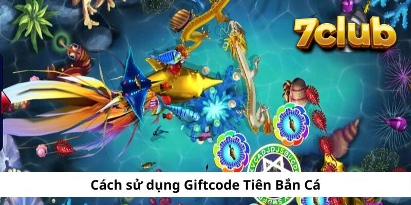 7CLUB