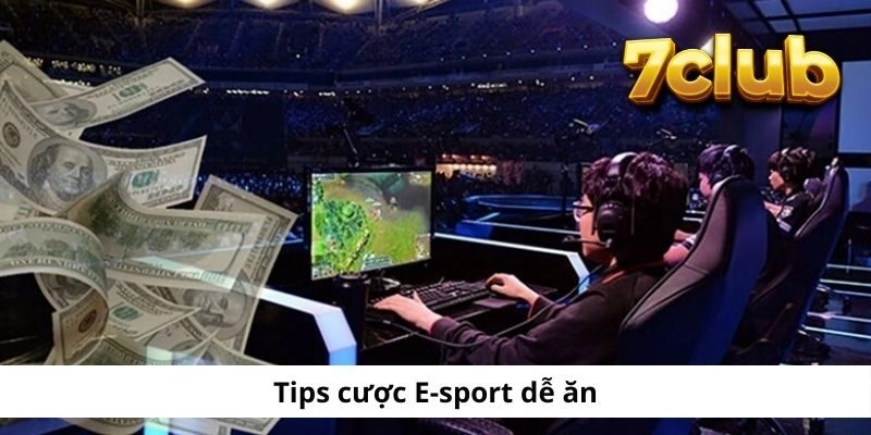 7CLUB