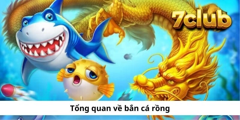 7CLUB