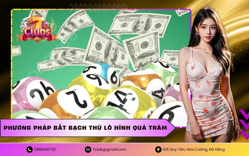 Phương pháp bắt bạch thủ lô hình quả trám